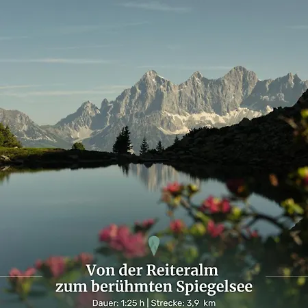 Appartement Alpin 204 Schladming